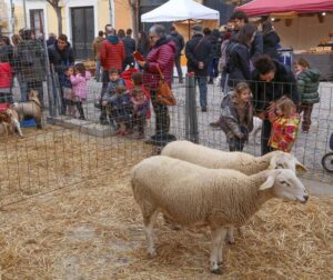 Fira de sant antoni angles foto 2 min
