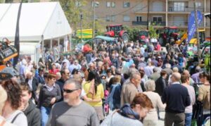 Fira de sant isidre a solsona foto 1
