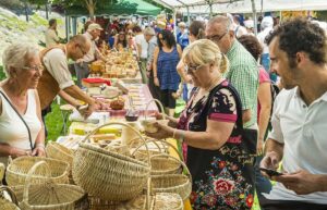 Fira de sant joan i xollada dovelles a sort foto 3