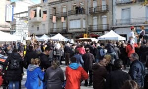 Fira de sant marti de puig reig foto 4 min