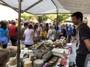 Fira de sant miquel a santpedor foto 2
