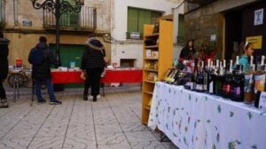 Fira de santa llucia a camarasa foto 1