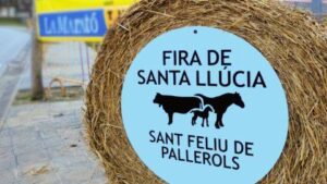 Fira de santa llucia a sant feliu de pallerols