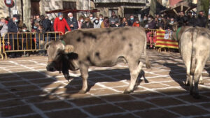 Fira de santa llucia a sant feliu de pallerols foto 1