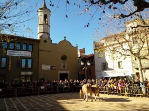 Fira de santa llucia a sant feliu de pallerols foto 2