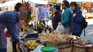Fira de tots sants baga foto 2