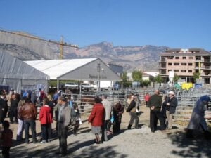 Fira de tots sants oliana foto 2 min