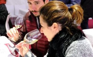 Fira de vins i caves a molins de rei foto 1