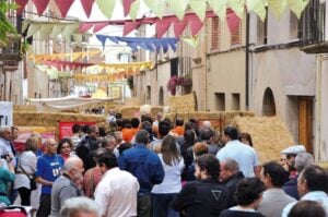Fira de l ametlla de vilagrassa foto 1