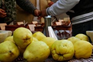 Fira de lallioli de codony a la pobla de lillet foto 1