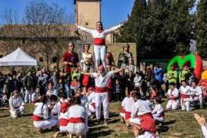 Fira de larbre i de la natura de muntanyola foto 1
