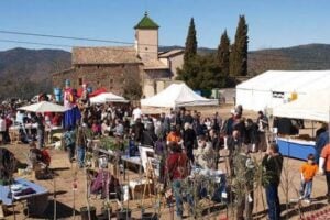 Fira de larbre i de la natura de muntanyola foto 2