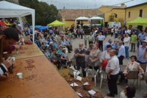 Fira de lavellana de la selva a brunyola foto 1