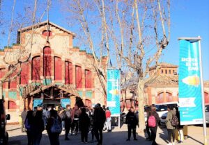 Fira de lensenyament a igualada foto 1 1