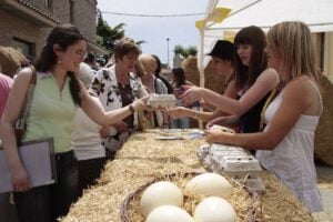 Fira de lou a sant guim de freixenet 5