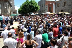 Fira de lou a sant guim de freixenet 7