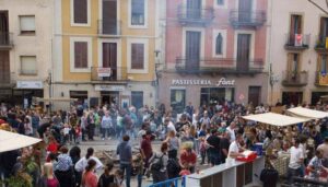 Fira de la castanya a viladrau 5