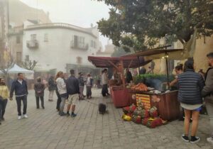Fira de la castanyera a begur foto 1 1