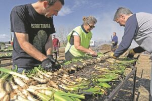 Fira de la ceba i del calcot a vila sacra foto 2 min