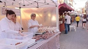 Fira de la garnatxa i el brunyol a garriguella foto 2