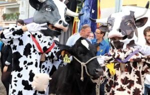 Fira de la llet i festa de st galderic a vilobi donyar foto 1 1