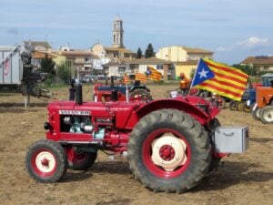 Fira de la llet i festa de st galderic a vilobi donyar foto 2 1