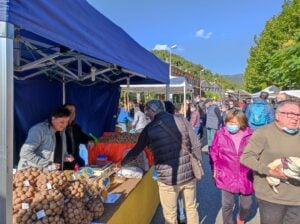 Fira de la nou a montesquiu 1