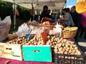 Fira de la nou a montesquiu 3