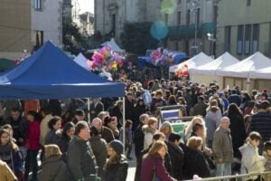 Fira de la purissima a sant boi foto 4