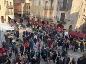 Fira de la ratafia a besalu foto 4
