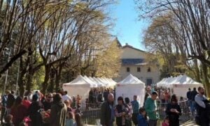 Fira de la tardor a les masies de voltrega foto 2 min