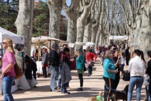 Fira de la terra a caldes de malavella foto 1