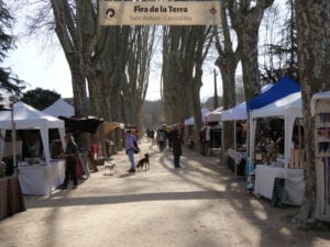 Fira de la terra a caldes de malavella foto 3