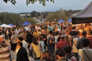 Fira de la cervesa artesana a lespelt 3