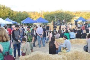 Fira de la cervesa artesana a lespelt 4