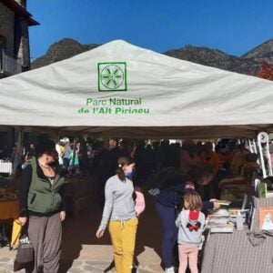 Fira de la tardor a tirvia foto 1