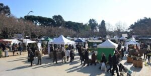 Fira de larbre i el medi ambient de mataro foto 4 min