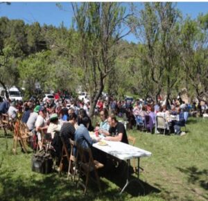 Fira de les bresques a santa candia orpi foto 1