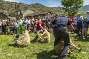 Fira de productors del parc natural de lalt pirineu 1