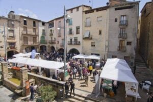 Fira de vi del pirineu a talarn 2 1