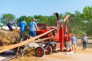 Fira del batre a llagostera foto 2