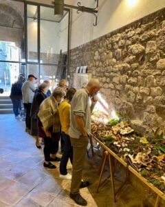 Fira del bolet a albanya 1