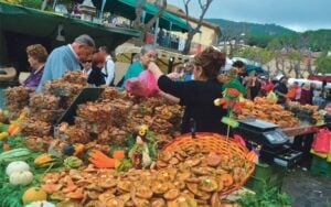 Fira del bolet i la natura a vilassar de dalt foto 3 1