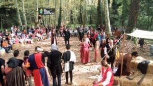 Fira del bosc canyamars medieva