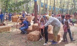 Fira del bosc canyamars medieval