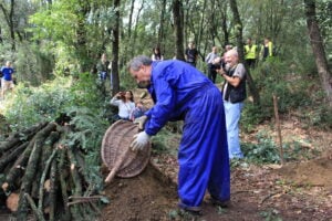 Fira del bosc i la natura a sant celoni foto 2