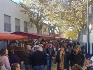 Fira del bosc i la pagesia a vallgorguina foto 1