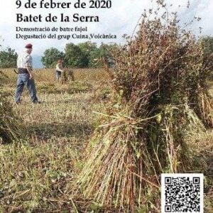 Fira del fajol a olot 2020