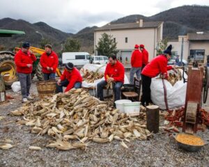 Fira del farro a la vall de bianya 1