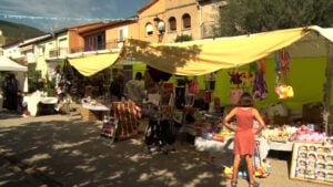 Fira del joc i productes de la terra a les planes dhostoles foto 1